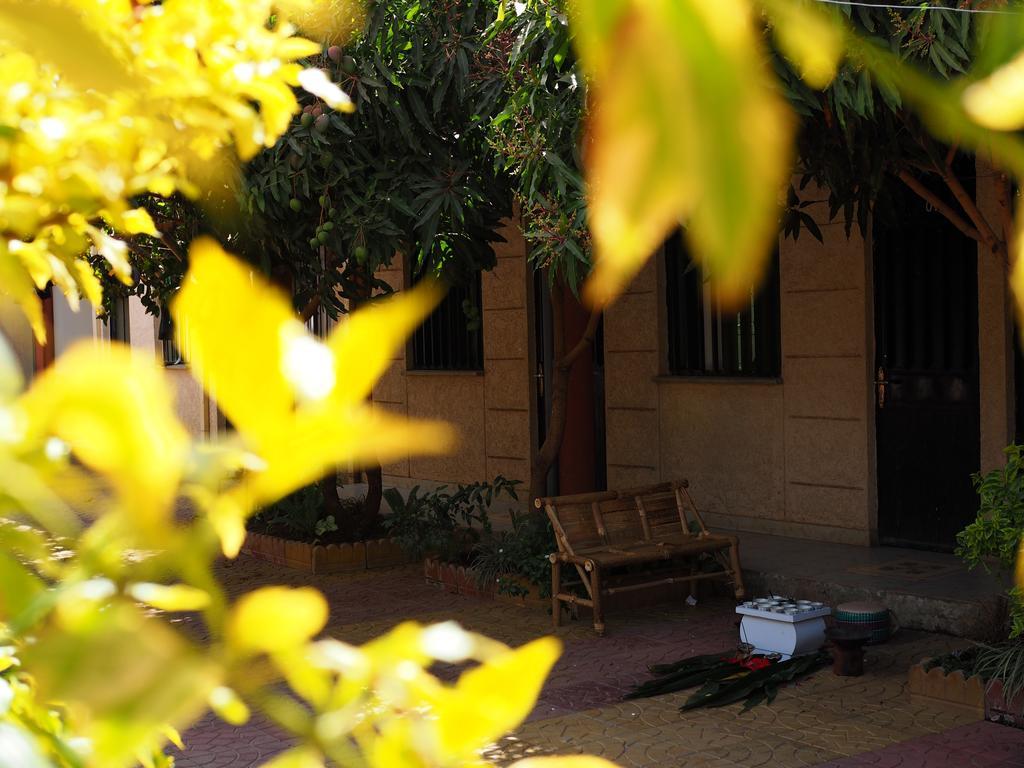 Manuhie Backpackers Lodge บาเฮอร์ดาร์ ห้อง รูปภาพ